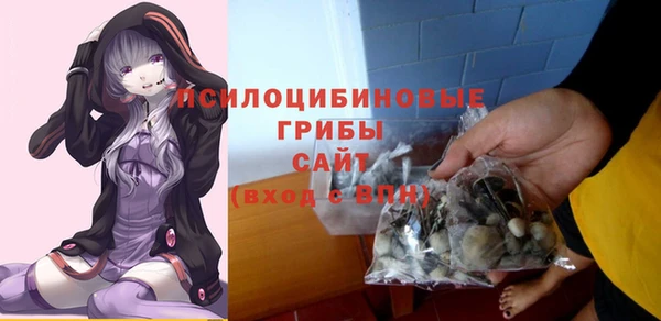 ешки Балахна