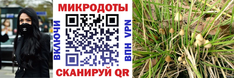 закладки  Курильск  Псилоцибиновые грибы GOLDEN TEACHER 